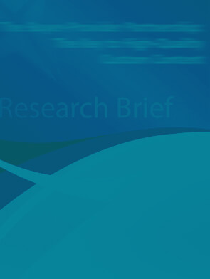 Illustration representing a blog on research in brief, featuring a magnifying glass over a stack of books and a notepad with bullet points. The image highlights the focus on summarizing key findings and insights from research, emphasizing the importance of accessible information for learning consultancy.